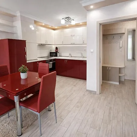 Red Dahlia Urban Plovdiv