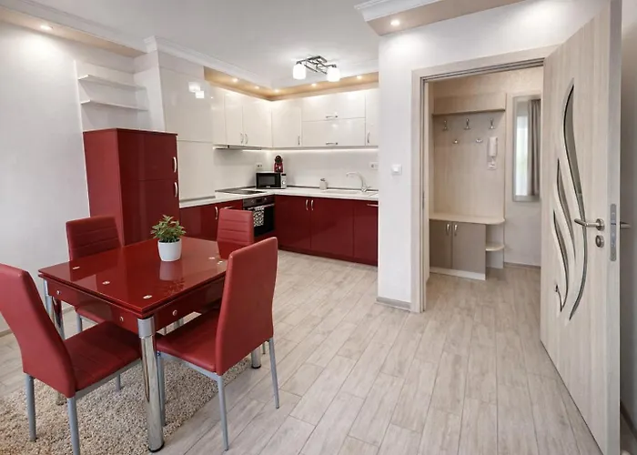 Red Dahlia Urban Plovdiv