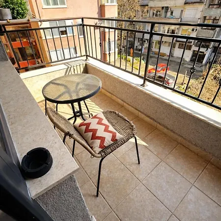 Red Dahlia Urban Plovdiv