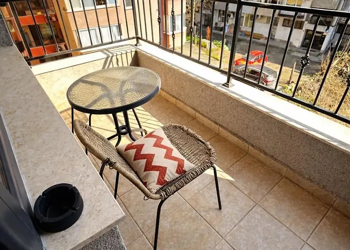 Red Dahlia Urban Plovdiv