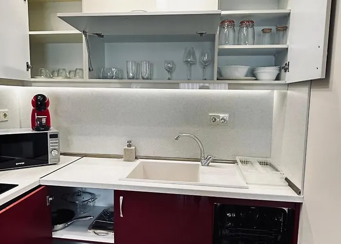 Red Dahlia Urban * Plovdiv